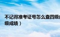 不记得准考证号怎么查四级成绩（不记得准考证号怎么查四级成绩）