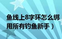 鱼线上8字环怎么绑（鱼线绑8字环的方法 适用所有钓鱼新手）