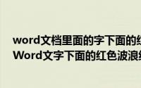 word文档里面的字下面的红色波浪线怎么去掉（怎么去掉Word文字下面的红色波浪线）