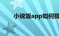 小说饭app如何提交图书搜索请求？