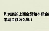 利润表的上期金额和本期金额怎么填（利润表的上期金额和本期金额怎么填）