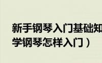 新手钢琴入门基础知识（钢琴的基础知识 初学钢琴怎样入门）