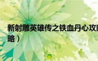 新射雕英雄传之铁血丹心攻略（新射雕英雄传之铁血丹心攻略）