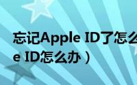 忘记Apple ID了怎么办（忘记了自己的Apple ID怎么办）