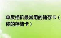 单反相机最常用的储存卡（单反相机 储存卡百科 选择适合你的存储卡）