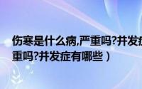 伤寒是什么病,严重吗?并发症有哪些表现（伤寒是什么病严重吗?并发症有哪些）