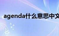 agenda什么意思中文（agenda什么意思）