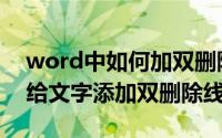 word中如何加双删除线（word文档中怎么给文字添加双删除线）