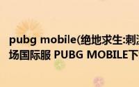 pubg mobile(绝地求生:刺激战场(国际版体验服))（刺激战场国际服 PUBG MOBILE下载教程）