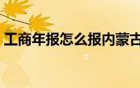 工商年报怎么报内蒙古（工商年报怎么申报）