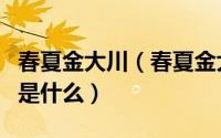 春夏金大川（春夏金大川相互取关疑分手真相是什么）