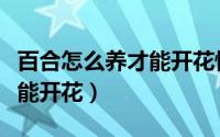 百合怎么养才能开花快些（如何让养护百合才能开花）