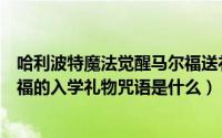 哈利波特魔法觉醒马尔福送礼咒语（哈利波特魔法觉醒马尔福的入学礼物咒语是什么）