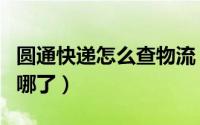 圆通快递怎么查物流（圆通快递怎么查物流到哪了）