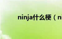 ninja什么梗（ninja什么意思啊）