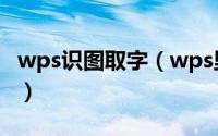 wps识图取字（wps里面的截图识字怎么使用）