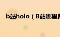 b站holo（B站哪里都有homo什么意思）