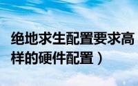 绝地求生配置要求高（绝地求生大逃杀要求怎样的硬件配置）