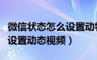 微信状态怎么设置动物和鲜花（微信状态怎么设置动态视频）