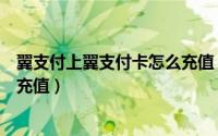 翼支付上翼支付卡怎么充值（翼支付卡如何在客户端给账户充值）