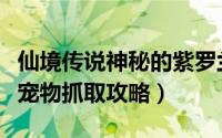 仙境传说神秘的紫罗兰攻略（仙境传说紫罗兰宠物抓取攻略）