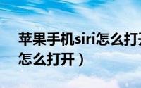 苹果手机siri怎么打开没声音（苹果手机siri怎么打开）