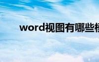 word视图有哪些模式（什么是视图）