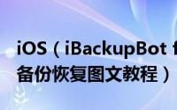 iOS（iBackupBot for iTunes新旧数据自由备份恢复图文教程）