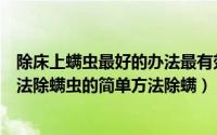 除床上螨虫最好的办法最有效的方法（床上除螨虫的最快方法除螨虫的简单方法除螨）