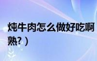 炖牛肉怎么做好吃啊（炖牛肉怎么做好吃又烂熟?）