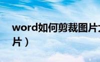 word如何剪裁图片大小（word如何剪裁图片）