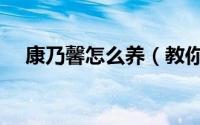 康乃馨怎么养（教你养出漂亮的康乃馨）