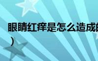 眼睛红痒是怎么造成的（眼睛红痒是怎么回事）