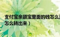 支付宝余额宝里面的钱怎么没有了（支付宝余额宝里面的钱怎么转出来）