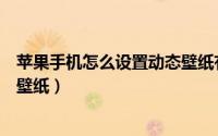 苹果手机怎么设置动态壁纸有声音（苹果手机怎么设置动态壁纸）