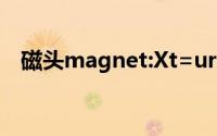 磁头magnet:Xt=urn:btih:链接使用方法