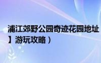 浦江郊野公园奇迹花园地址（上海浦江郊野公园【奇迹花园】游玩攻略）