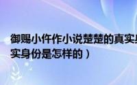 御赐小仵作小说楚楚的真实身份（御赐小仵作小说楚楚的真实身份是怎样的）