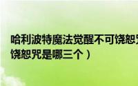 哈利波特魔法觉醒不可饶恕咒是指（哈利波特魔法觉醒不可饶恕咒是哪三个）