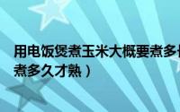 用电饭煲煮玉米大概要煮多长时间（用电饭煲煮玉米大概要煮多久才熟）