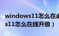 windows11怎么在桌面添加便签（Windows11怎么在线升级）