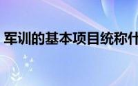 军训的基本项目统称什么（军训的基本内容）