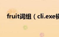 fruit词组（cli.exe初始化错误怎么解决）