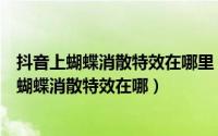 抖音上蝴蝶消散特效在哪里（抖音蝴蝶消散特效怎么弄抖音蝴蝶消散特效在哪）