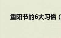 重阳节的6大习俗（重阳节的6大习俗）