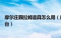 摩尔庄园拉姆道具怎么用（摩尔庄园中如何购买拉姆魔法烛台）