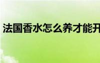 法国香水怎么养才能开花（养法国香水方法）