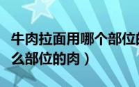 牛肉拉面用哪个部位的肉最好（牛肉拉面用什么部位的肉）