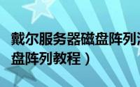 戴尔服务器磁盘阵列添加硬盘（戴尔服务器磁盘阵列教程）