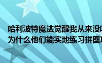 哈利波特魔法觉醒我从来没听说过拼图（哈利波特魔法觉醒为什么他们能实地练习拼图攻略）